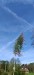 IMG-20250430-WA0020