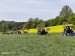 IMG-20250508-WA0008