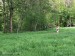 IMG-20250508-WA0064