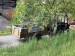 IMG-20250508-WA0068