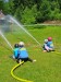 IMG-20250614-WA0003